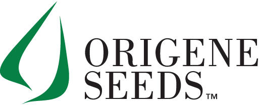 Origene Seeds