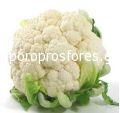 Cauliflower Castor F1