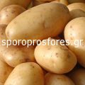 Πατάτες Aida