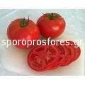 Tomatoes Berno F1