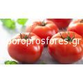 Tomatoes Rouven F1