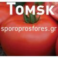 Tomatoes Tomsk F1