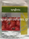 Tomatoes Bobcat F1 (determinants)