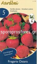 Φράουλες Ostara (year-round)
