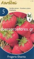 Φράουλες Elsantha