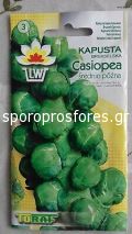 Brussels sprouts Casiopea