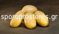 Πατάτες Linata