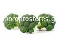Broccoli Triton F1