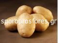 Πατάτες Lombardo