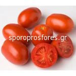 Tomatoes AG 23484
