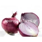 Onions Asenovgrad kaba