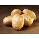 Potatoes Lombardo