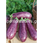 Eggplant Nerea F1