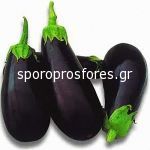 Eggplant Negratin F1