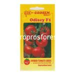 Tomatoes Odysey F1