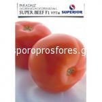 Tomatoes Super Beef F1