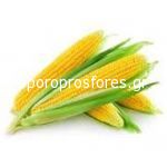 Sweet corn Forte 67 F1 (Denica)