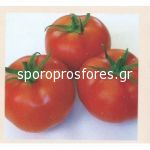 Tomatoes Grando F1