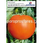 Tomatoes Maraton F1