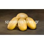 Potatoes Linata
