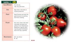 Tomatoes Surya F1