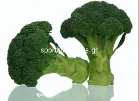 Broccoli Spiridon F1