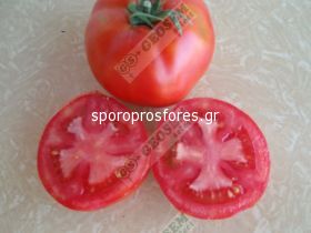 Tomatoes Kom F1