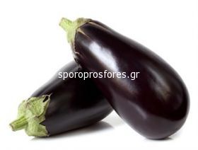 Eggplant EPIC F1 SEM