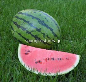 Watermelon Bedouin F1