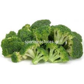 Broccoli Marathon (Marathon F1)