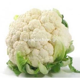 Cauliflower Amazing (Amazing)
