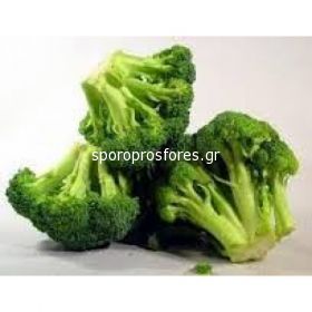 Broccoli Aquiles (Aquiles F1)