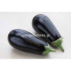 Eggplant Mirville (Mirval F1)