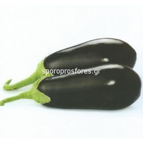 Eggplant Onyx (Onyx F1)