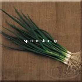 Green Onions Savel F1