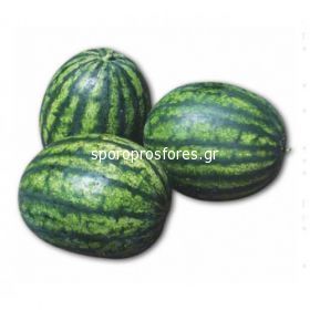 Watermelons Sorento F1