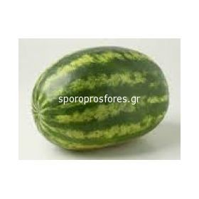 Watermelons Varda (Varda F1)