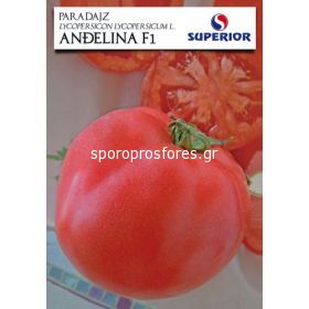 Tomatoes Angelina F1