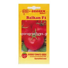 Tomatoes Balkan F1