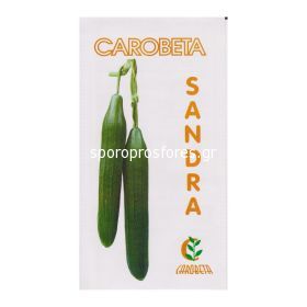Cucumber Sandra F1