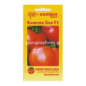 Tomatoes Kamena Geo F1