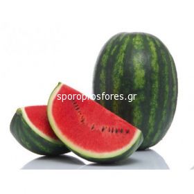 Watermelon Sensei F1
