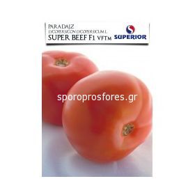 Tomatoes Super Beef F1