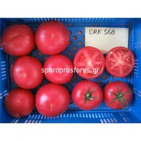 Tomatoes Tomimaru Muchoo F1