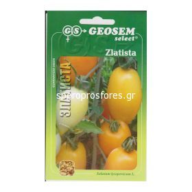 Tomatoes Zlatista