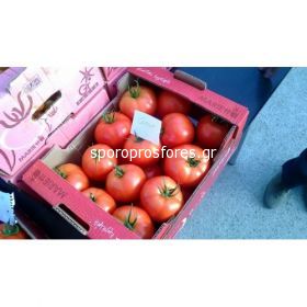 Tomatoes Cetia F1