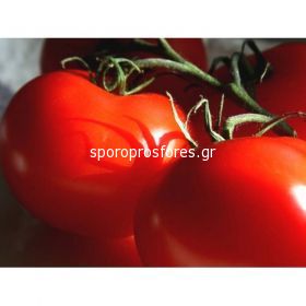 Tomatoes Kiveli F1