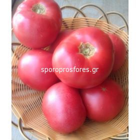 Tomatoes Mei Shuai F1