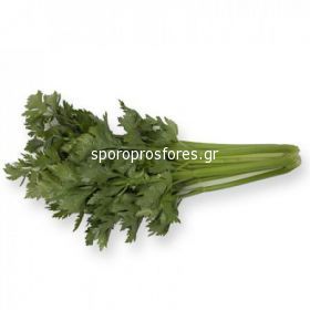 Celery Imperial