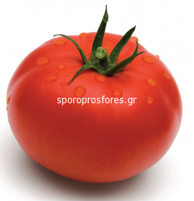 Tomatoes Wolverine F1 (EBIA F1)